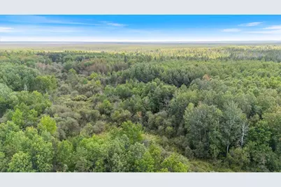 Xxx 1262Ac Pine Island State Forest, Big Falls, MN 56627 - Photo 1