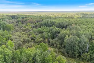 Xxx 1262Ac Pine Island State Forest, Big Falls, MN 56627 - Photo 1