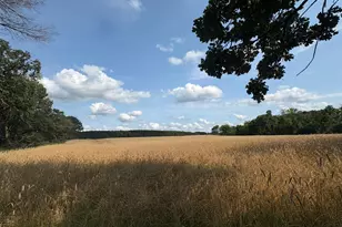 Tbd Strike Blvd NW, Isanti, MN 55040 - Photo 1