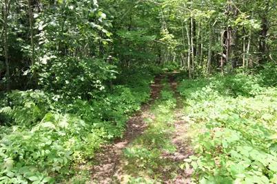 Tract A County Road 1, Emily, MN 56447 - Photo 5