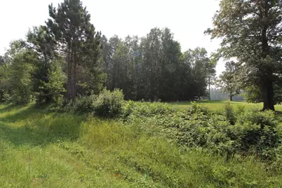 Tract B County Road 1, Emily, MN 56447 - Photo 3