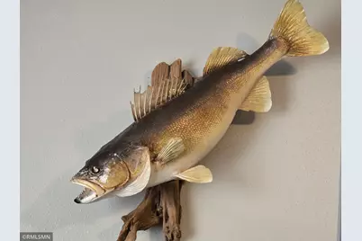 6157 Quinn Avenue NW, South Haven, MN 55382 - Photo 17