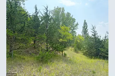 6157 Quinn Avenue NW, South Haven, MN 55382 - Photo 45