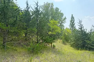 6157 Quinn Ave NW, South Haven, MN 55382 - Photo 45