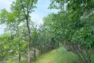 6157 Quinn Ave NW, South Haven, MN 55382 - Photo 47