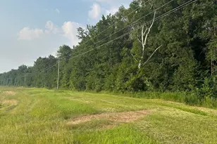 Tbd Hwy 29, Miltona Township, MN 56361 - Photo 1