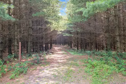 26366 Xylite Street NE, Isanti, MN 55040 - Photo 33