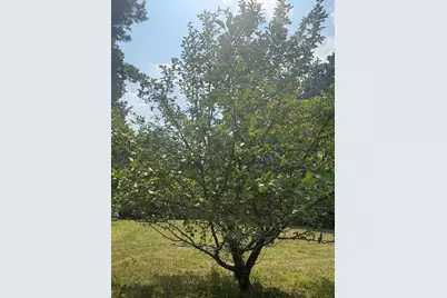 2131 N Brook View Drive, Arthur Twp, MN 55051 - Photo 7