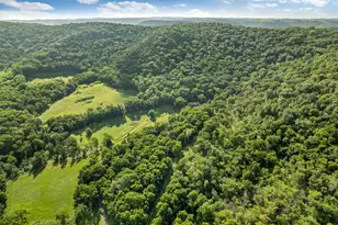 24334 County Rd 9, Homer Twp, MN 55987 - Photo 39