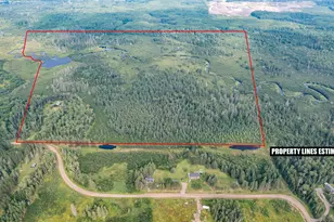 6964 N McArthur Rd, Canyon, MN 55717 - Photo 1