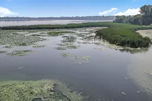 65254 365th St, Watkins, MN 55389 - Photo 37