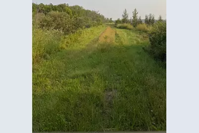 Tbd160 Sunflower Road, Kelliher, MN 56650 - Photo 1