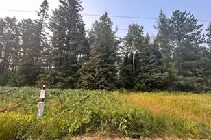 Tbd Bodas Rd, Eveleth, MN 55734 - Photo 1