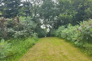 2502 Ranchwood Cir SE, Alexandria, MN 56308 - Photo 51