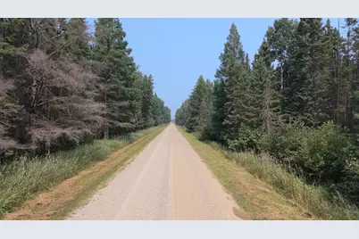 Tbd 80 Acres Sunflower Road NE, Woodrow Twp, MN 56650 - Photo 1