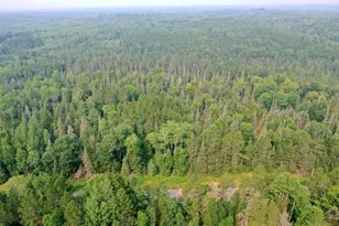 Tbd Virginia Ely Rd, Babbitt, MN 55706 - Photo 1