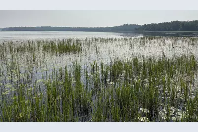 [Address not provided], Palisade, MN 56469 - Photo 17