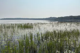 [Address not provided], Palisade, MN 56469 - Photo 17