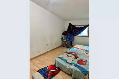 919 W Front Street, Albert Lea, MN 56007 - Photo 11