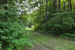 10587 Town Rd 34, Mizpah, MN 56660 - Photo 13