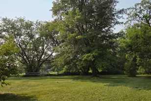 10587 Town Rd 34, Mizpah, MN 56660 - Photo 9