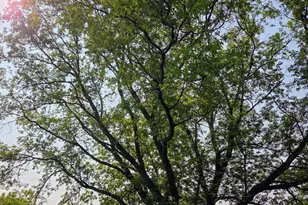 10587 Town Rd 34, Mizpah, MN 56660 - Photo 15