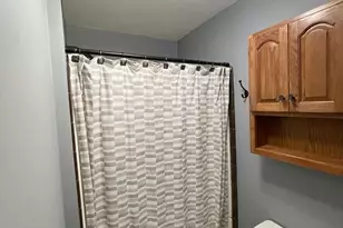 118 Somerville Ave, Morgan, MN 56266 - Photo 63