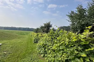 8393 165th St, Borgholm Township, MN 56353 - Photo 9