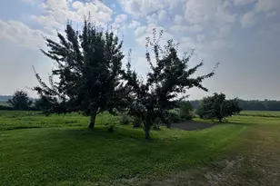 8393 165th St, Borgholm Township, MN 56353 - Photo 7