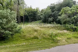 Lot 10 776th Ave, Spring Valley, WI 54767 - Photo 1