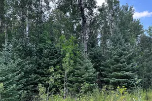 Tbd Hwy 71, Littlefork, MN 56653 - Photo 1