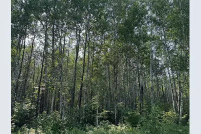80+ Acres Willow Creek Road NE, Kelliher, MN 56650 - Photo 1