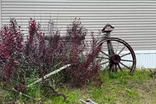 11122 Co Rd 12, Mizpah, MN 56660 - Photo 35