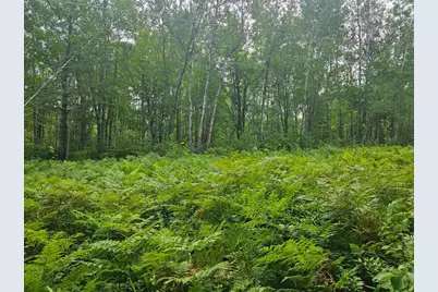 Lot 4 Blk 2 SW 1st Avenue, Grand Rapids, MN 55744 - Photo 9