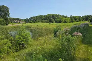 Xxxxx 244th Rd, Franconia Township, MN 55073 - Photo 1