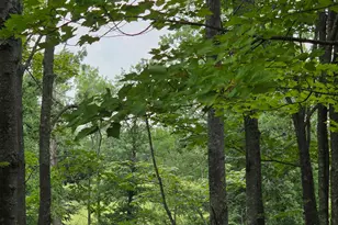 60 Polk St, Cohasset, MN 55721 - Photo 23