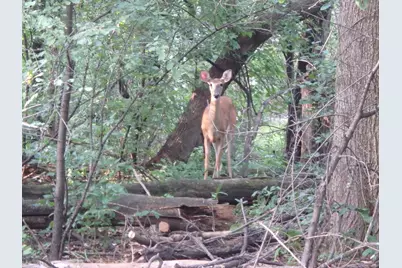 15320 Highwood Drive, Minnetonka, MN 55345 - Photo 5