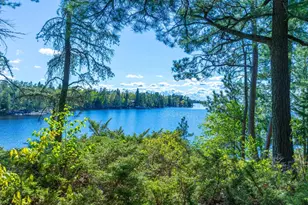 2715 Roberts Island, International Falls, MN 56649 - Photo 53