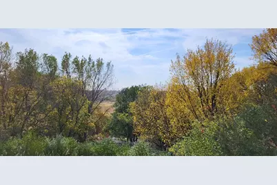 33672 County Road 15, Beaver Falls Twp, MN 56270 - Photo 5