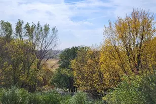 33672 County Road 15, Beaver Falls Twp, MN 56270 - Photo 5