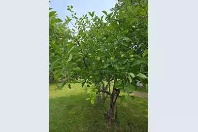 12916 250th Avenue NE, Kratka Twp, MN 56725 - Photo 15