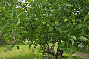 12916 250th Ave NE, Kratka Twp, MN 56725 - Photo 15