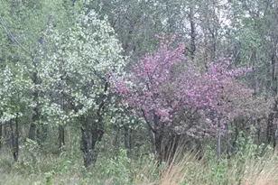 12916 250th Ave NE, Kratka Twp, MN 56725 - Photo 5