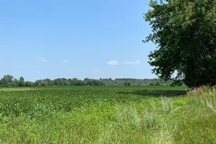 Tbd Hwy 65 NE, Braham, MN 55006 - Photo 1