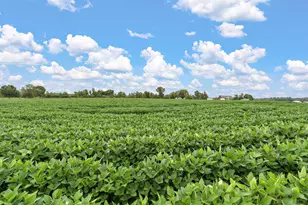 2312 Becker Trail, Faribault, MN 55021 - Photo 53