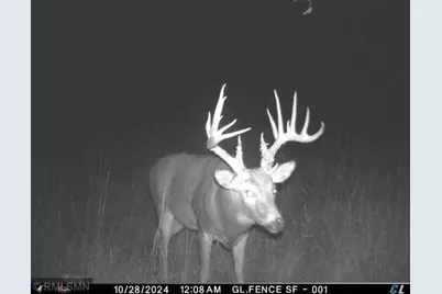 1Xxx 105th Avenue NE, Foley, MN 56329 - Photo 1