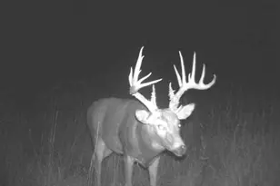 1Xxx 105th Ave NE, Foley, MN 56329 - Photo 1