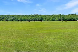 Tbd 199th Ave, Clearbrook, MN 56634 - Photo 1