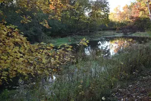 5470 Rowland Rd, Minnetonka, MN 55343 - Photo 1