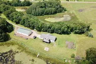 11302 251st Ave, Sauk Centre Township, MN 56378 - Photo 5